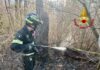 Incendio di un bosco a Salutio l’intervento dei Vigili del Fuoco