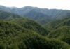 Regolamento del Parco delle Foreste Casentinesi: il confronto pubblico