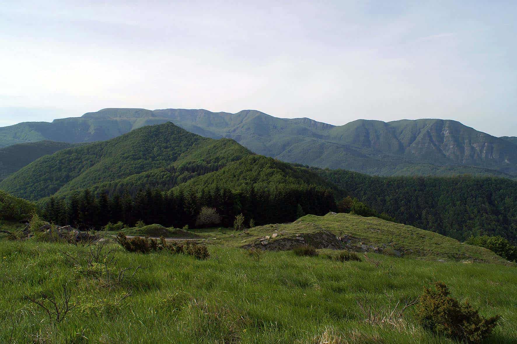 Parco-Foreste-Casentinesi-Monte-Falterona-1.jpg